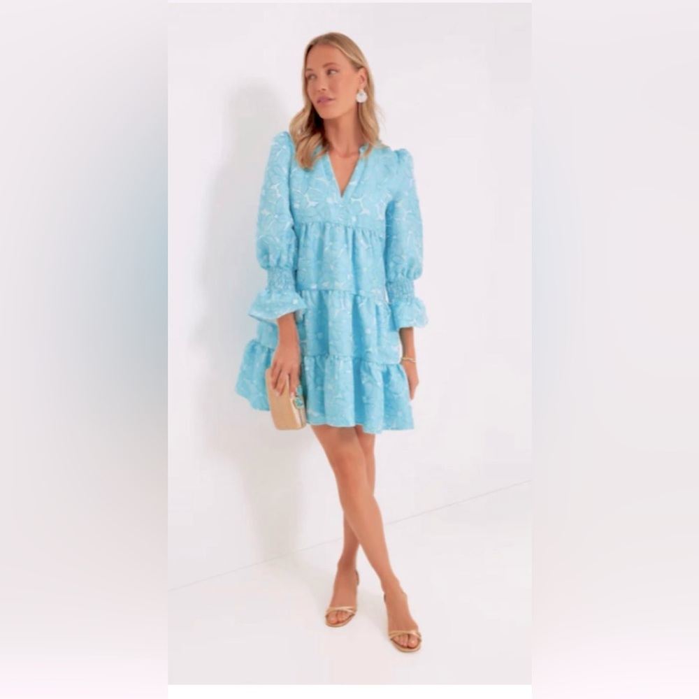 Tuckernuck Blue-Daisy Jacquard Kenzo Dress